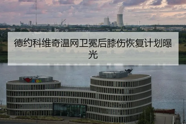 de-yue-ke-wei-qi-wen-wang-wei-mian-hou-xi-shang-hui-fu-ji-hua-bao-guang-2-952.jpg