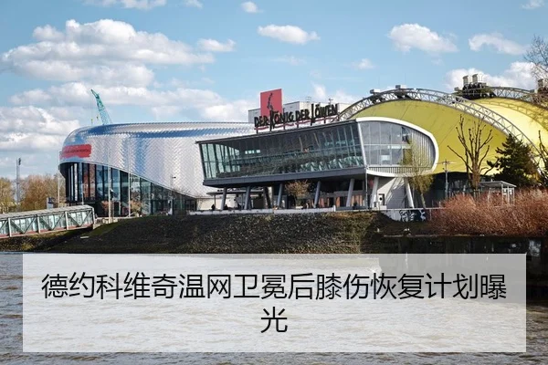 de-yue-ke-wei-qi-wen-wang-wei-mian-hou-xi-shang-hui-fu-ji-hua-bao-guang-3-161.jpg