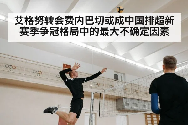 艾格努转会费内巴切或成中国排超新赛季争冠格局中的最大不确定因素