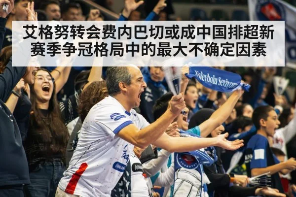 volleyball stadium crowd