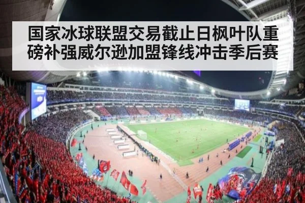 国家冰球联盟交易截止日枫叶队重磅补强威尔逊加盟锋线冲击季后赛